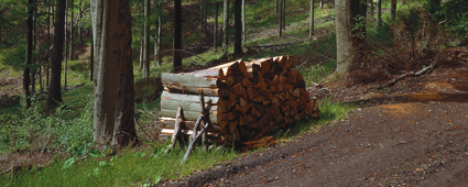 Festbrennstoff in seiner Ursprungsform Festbrennstoff in seiner Ursprungsform